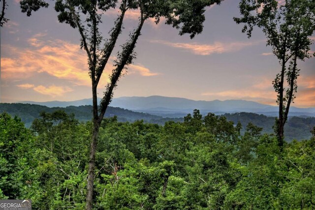 415 Green Ridge Trl, Blue Ridge, GA 30513 - view of mountain feature