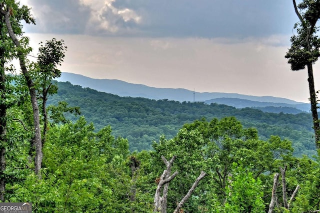 415 Green Ridge Trl, Blue Ridge, GA 30513 - property view of mountains