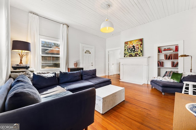 living room featuring wood-type flooring