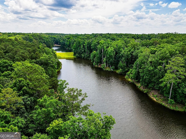 drone / aerial view featuring a forest view and a water view