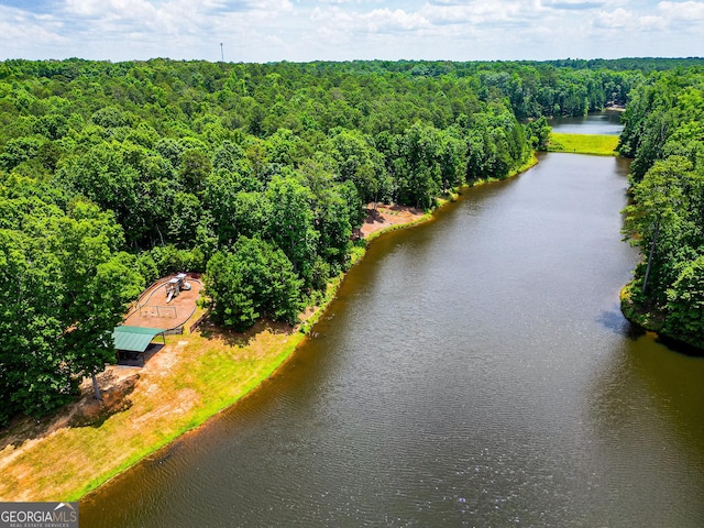 aerial view featuring a water view and a view of trees