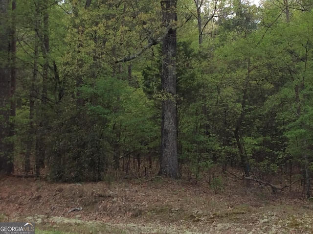 Listing photo 2 for 2468 Rockbridge Rd NW Lot 17, Conyers GA 30012