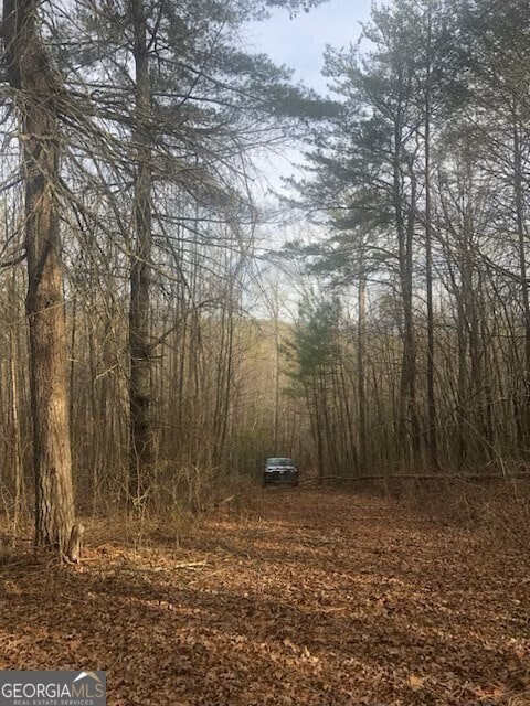 Listing photo 3 for LOT22 E Ridge Ln, Ellijay GA 30540