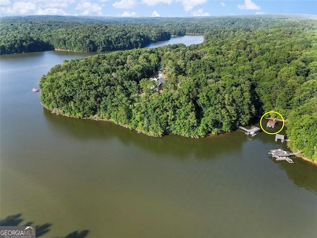 drone / aerial view featuring a water view and a forest view