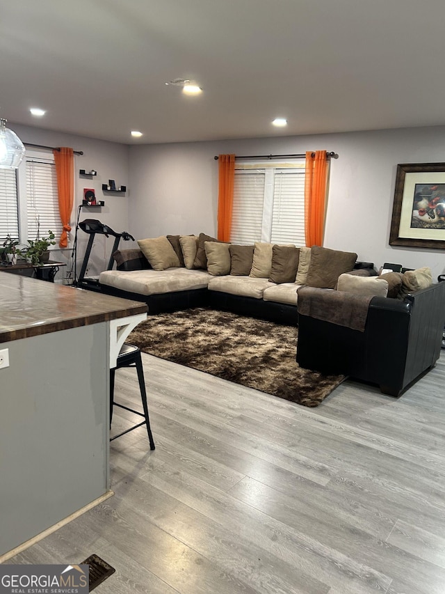 living room featuring light hardwood / wood-style floors and plenty of natural light