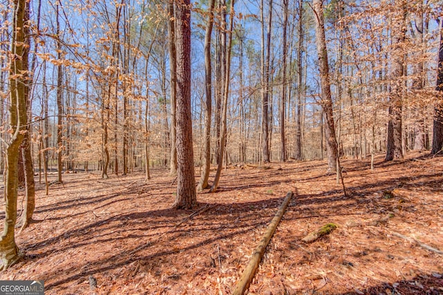 view of local wilderness