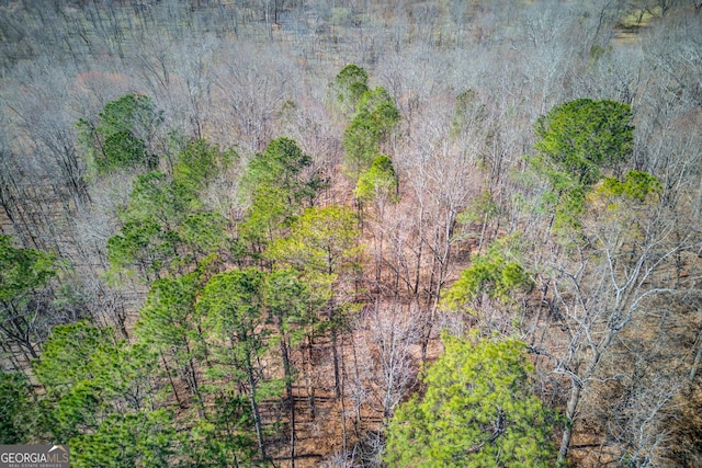 birds eye view of property featuring a forest view