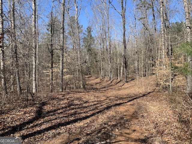 0 Veterans Dr, Danielsville, GA 30633