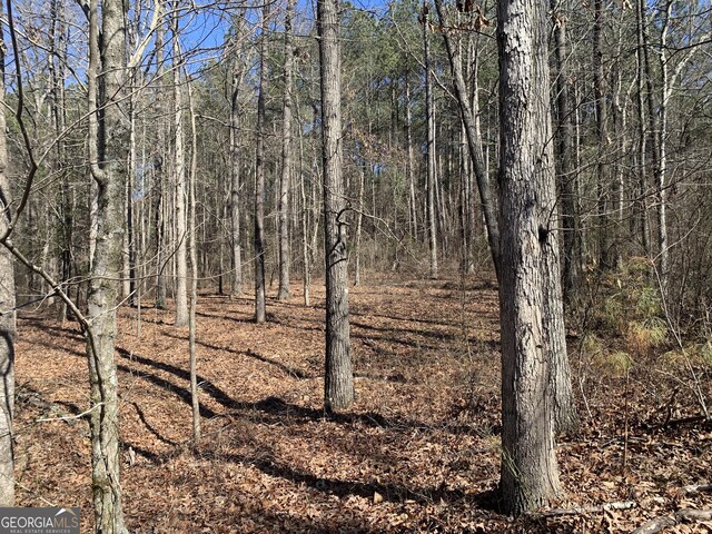 0 Veterans Dr, Danielsville, GA 30633