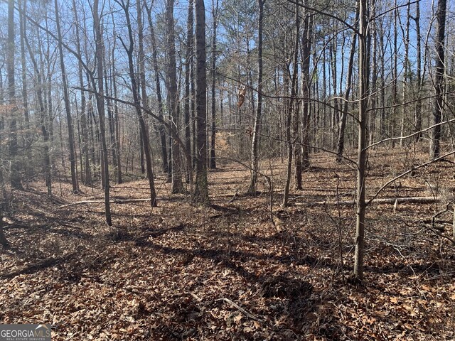 0 Veterans Dr, Danielsville, GA 30633