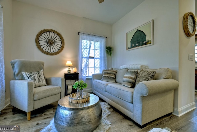 185 Sundown Trl, Ellijay, GA 30540 - living area featuring wood finished floors and baseboards