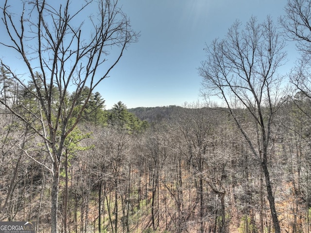 185 Sundown Trl, Ellijay, GA 30540 - view of mountain background featuring a heavily wooded area