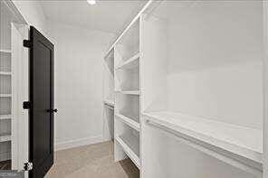 view of walk in closet