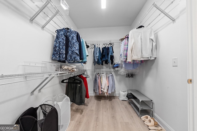 spacious closet with wood-type flooring