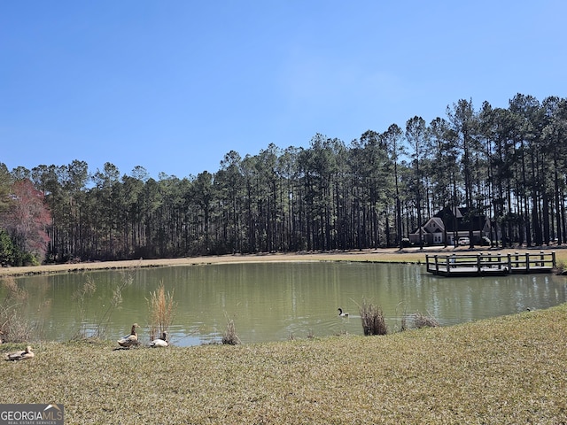 dock area featuring a water view