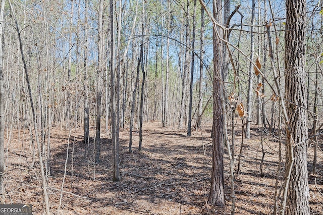 view of nature