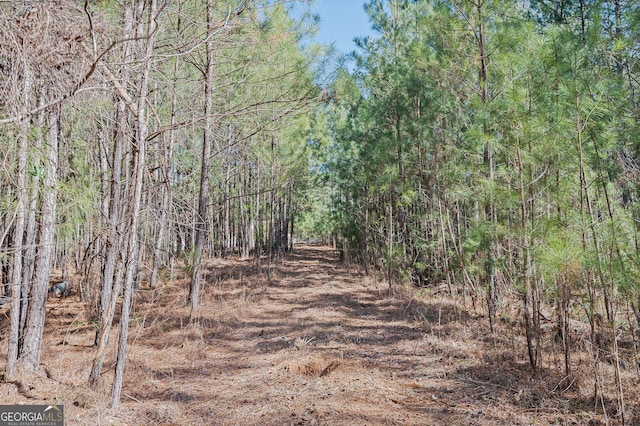 view of nature