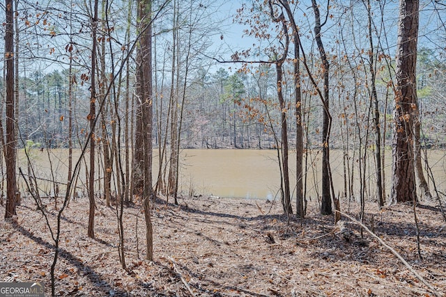 view of nature