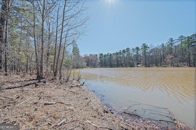 view of water feature with a forest view