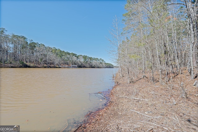 property view of water with a forest view