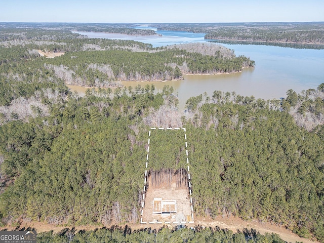 bird's eye view with a water view and a view of trees