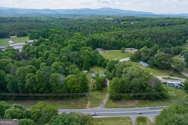 drone / aerial view with a mountain view