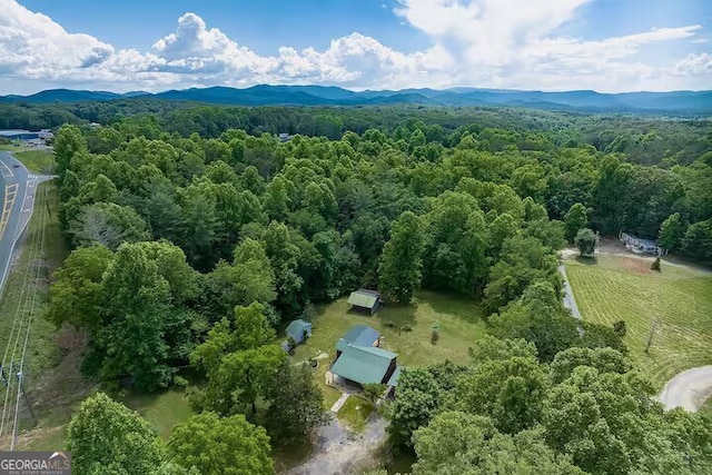 birds eye view of property featuring a mountain view