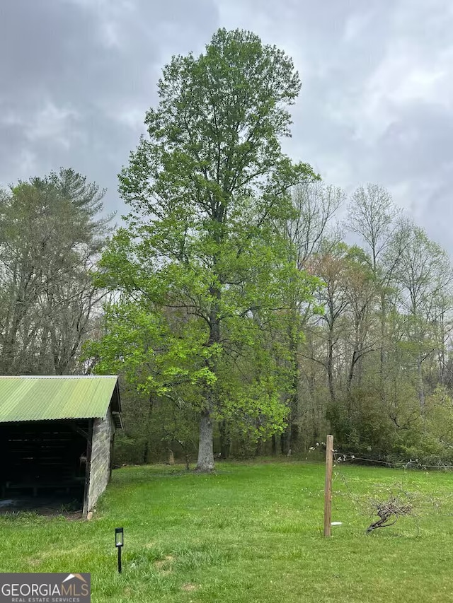 view of yard featuring an outdoor structure