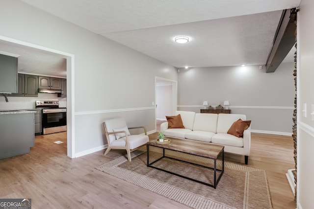 4419 New Kings Bridge Rd, Nicholson, GA 30565 - living room featuring light wood-style floors and baseboards
