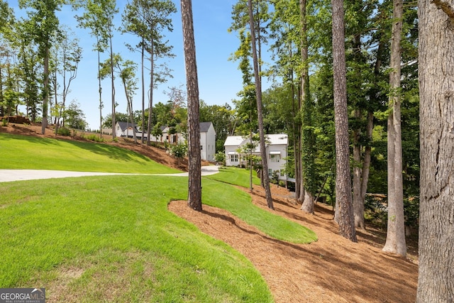 view of community featuring a lawn