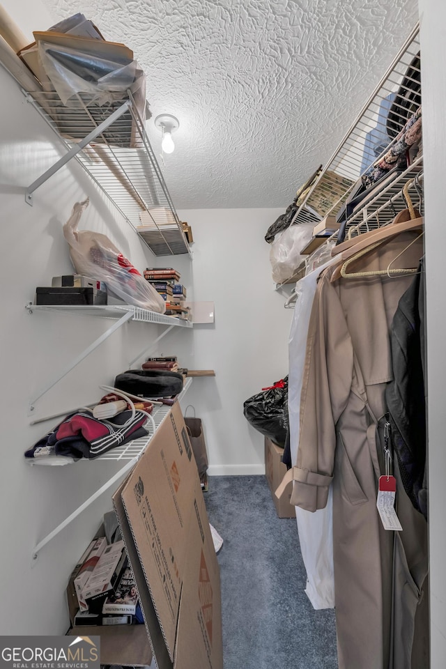 spacious closet featuring dark colored carpet