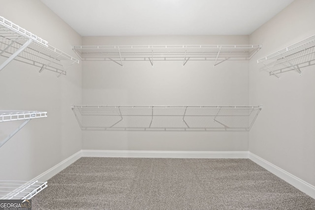 1578 English Rd, Forsyth, GA 31029 - spacious closet featuring carpet