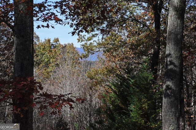 view of local wilderness