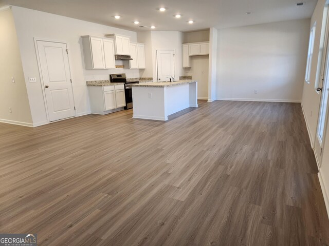 26 Russet Way Lot 61, Newnan, GA 30263 - kitchen with stainless steel electric stove, under cabinet range hood, open floor plan, recessed lighting, and wood finished floors