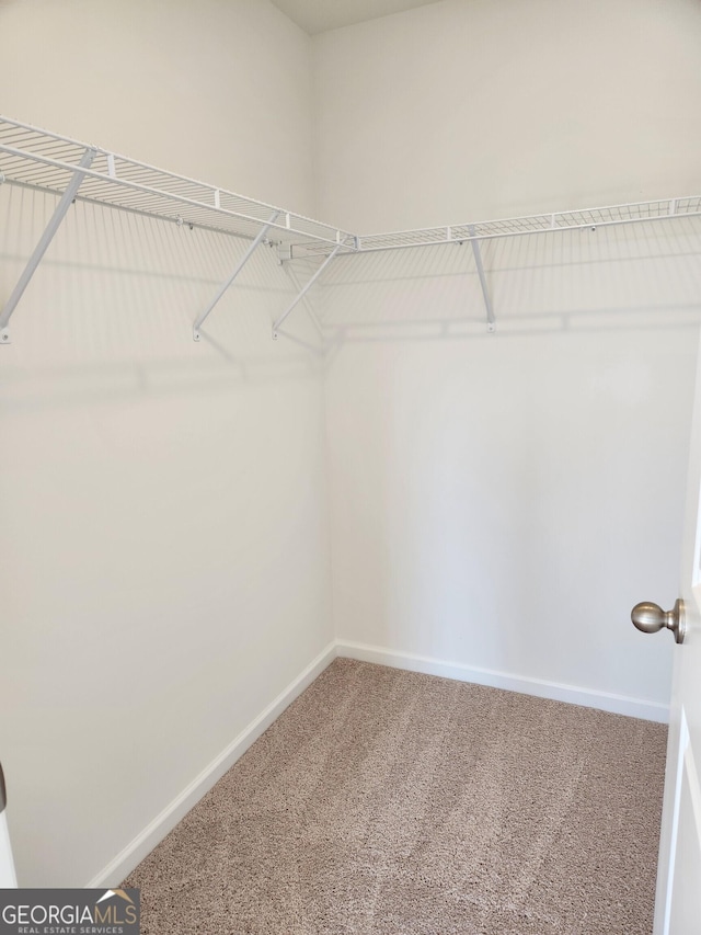 26 Russet Way Lot 61, Newnan, GA 30263 - spacious closet featuring carpet floors