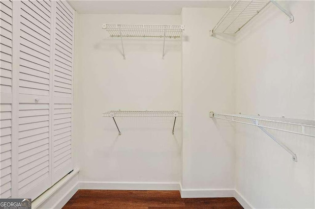 walk in closet with dark hardwood / wood-style flooring