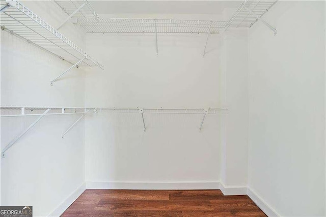 walk in closet featuring dark hardwood / wood-style flooring