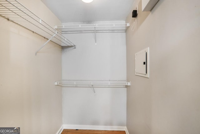 walk in closet with electric panel and hardwood / wood-style floors