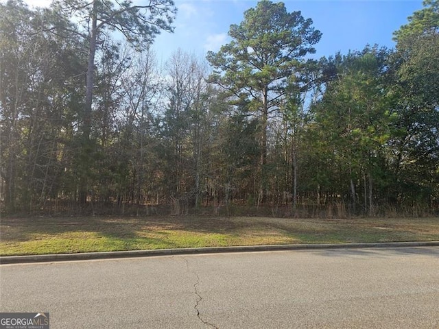 209 Partridge Cir, Leesburg GA, 31763 land for sale