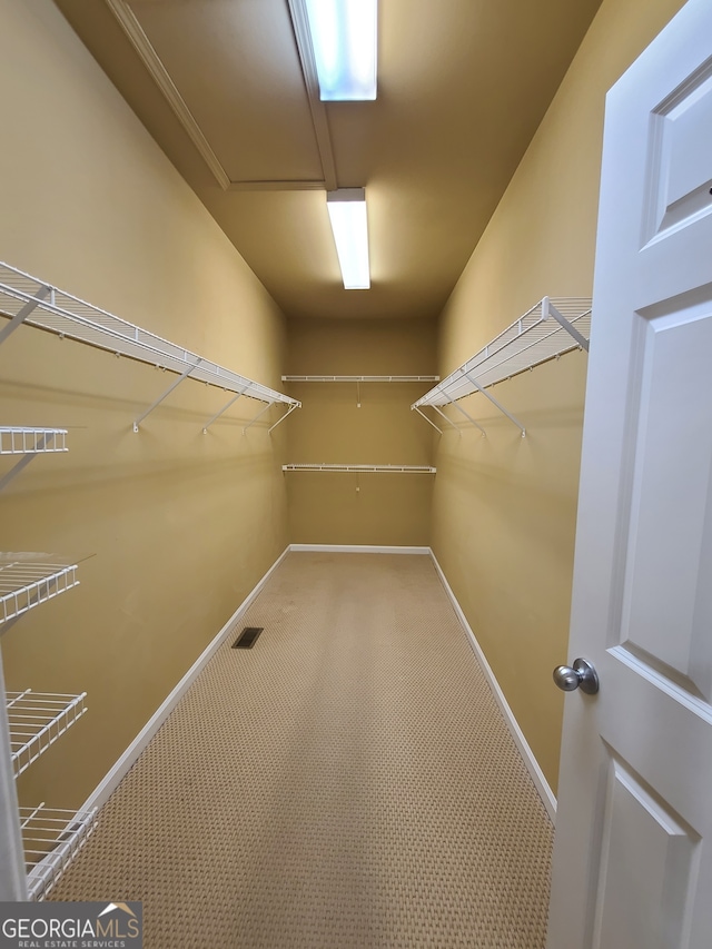 spacious closet with carpet