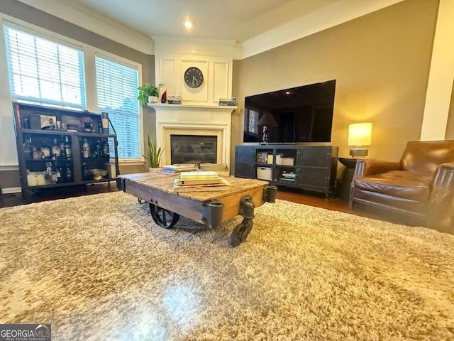 living area featuring a fireplace, dark wood finished floors, and crown molding