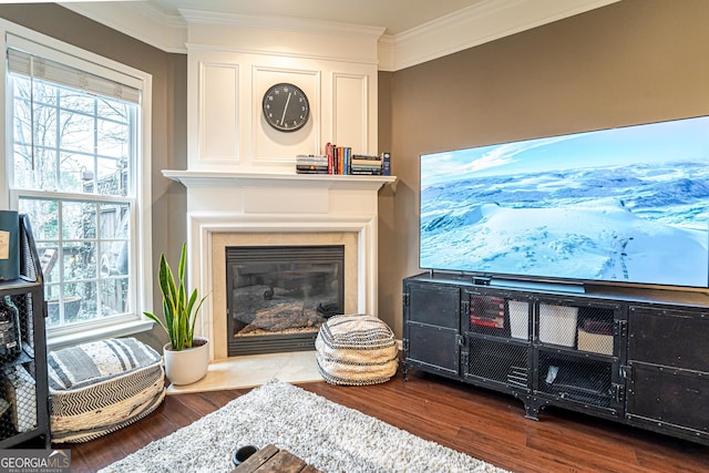 living area featuring a glass covered fireplace, crown molding, and wood finished floors