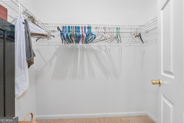 walk in closet featuring carpet floors