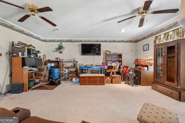 living room with carpet and a textured ceiling