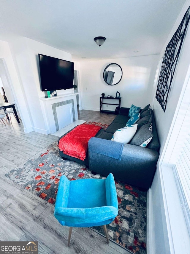 living room with wood-type flooring