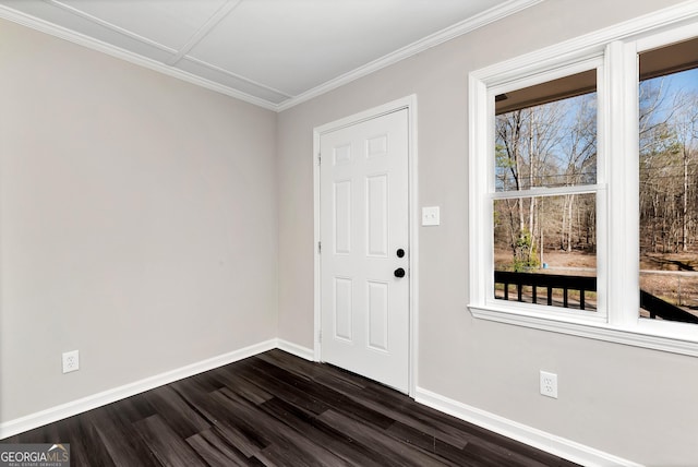 foyer entrance featuring dark wood-style floors, a healthy amount of sunlight, crown molding, and baseboards