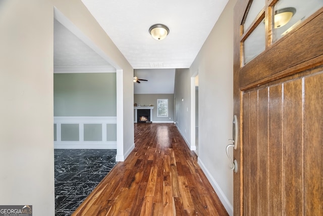 foyer with dark hardwood / wood-style floors