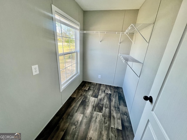 walk in closet with dark hardwood / wood-style floors