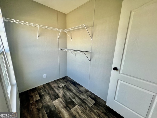 walk in closet featuring dark wood-type flooring