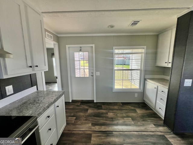 kitchen featuring white cabinetry, dark hardwood / wood-style floors, and light stone countertops